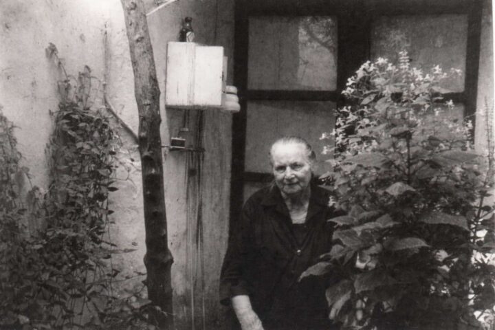 Fotografia: Joan Torrentó.