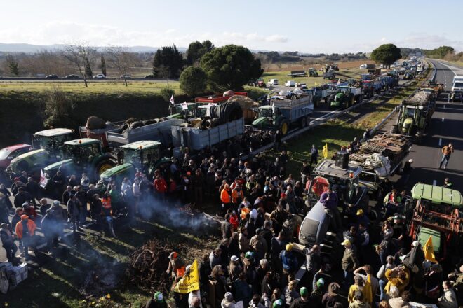 Ramaders catalans declaren la guerra al govern francès per la gestió de la malaltia bovina
