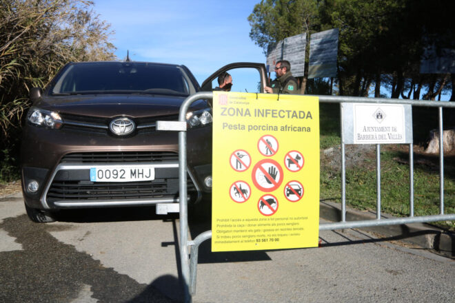 Els Mossos i la Guàrdia Civil escorcollen el laboratori d’on se sospita que va sortir el virus de la pesta porcina