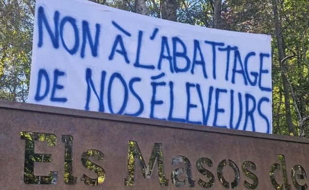 “Atureu la matança”: els ramaders del nord planten cara a l’estat francès per la gestió de la dermatosi nodular contagiosa