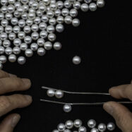 Al Japó, el canvi climàtic i la manca d’hereus amenaça el “Rolls-Royce de les perles”