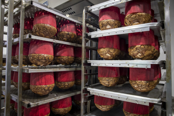 El millor panettone del món és català? La sorpresa mundial que neix a Rubí