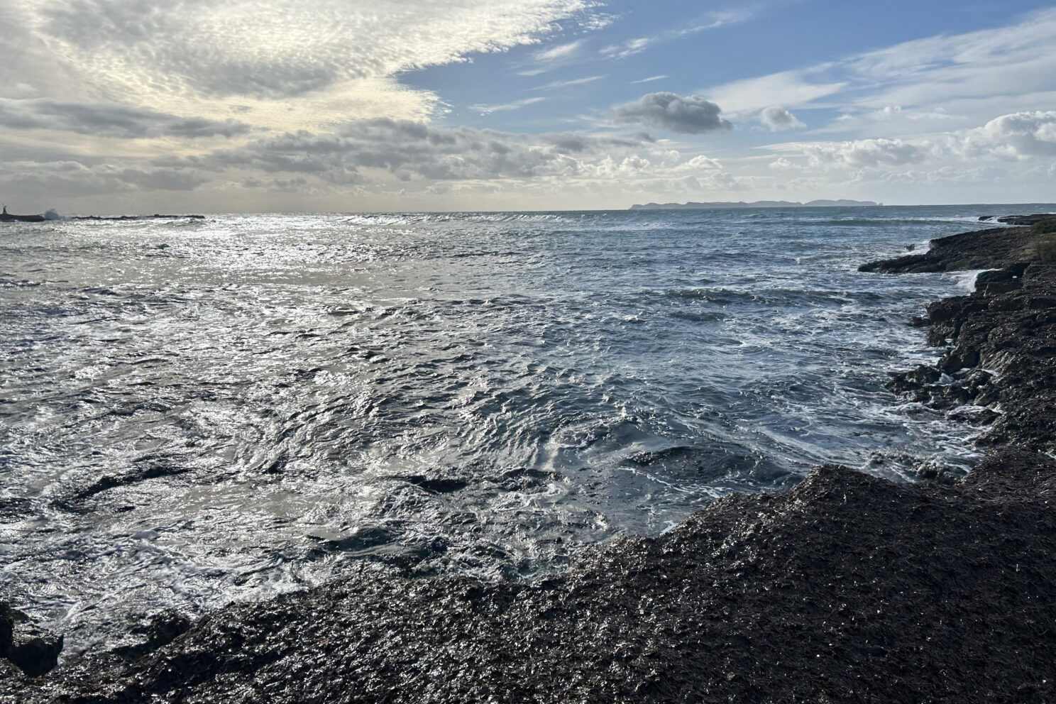 Closcadelletra (CDLXXXVII): Còmplices de l’esclavatge propi