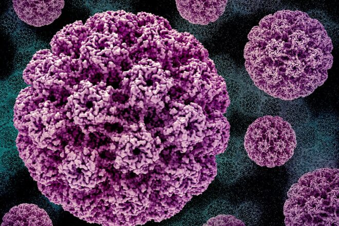 Alerten d’un augment del virus del papil·loma humà entre els homes d’entre 60 i 70 anys