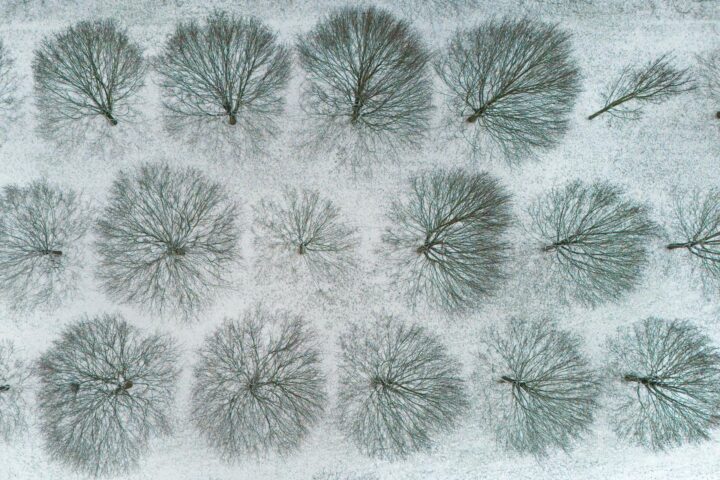 Fred i nevades generalitzades a Europa