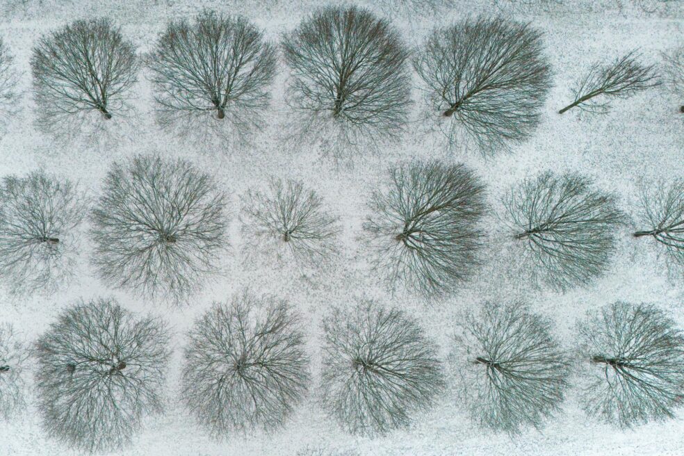 Fred i nevades generalitzades a Europa