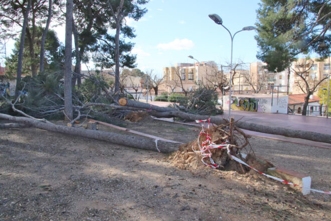Catalunya s’atura per la ventada: ràfegues per sobre dels 100 km/h causen les primeres incidències