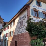 Els Bassegoda, una família de vinaters d’Espolla al cor del Jura