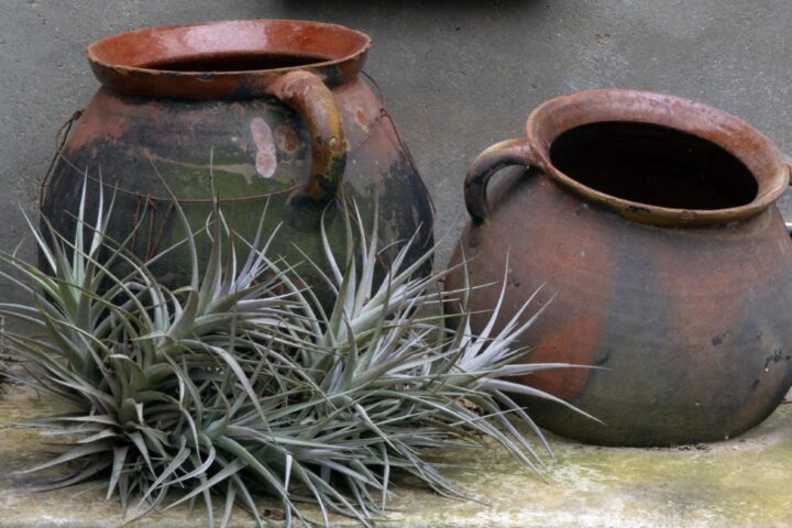 Fotografia: Jean-Marie del Moral