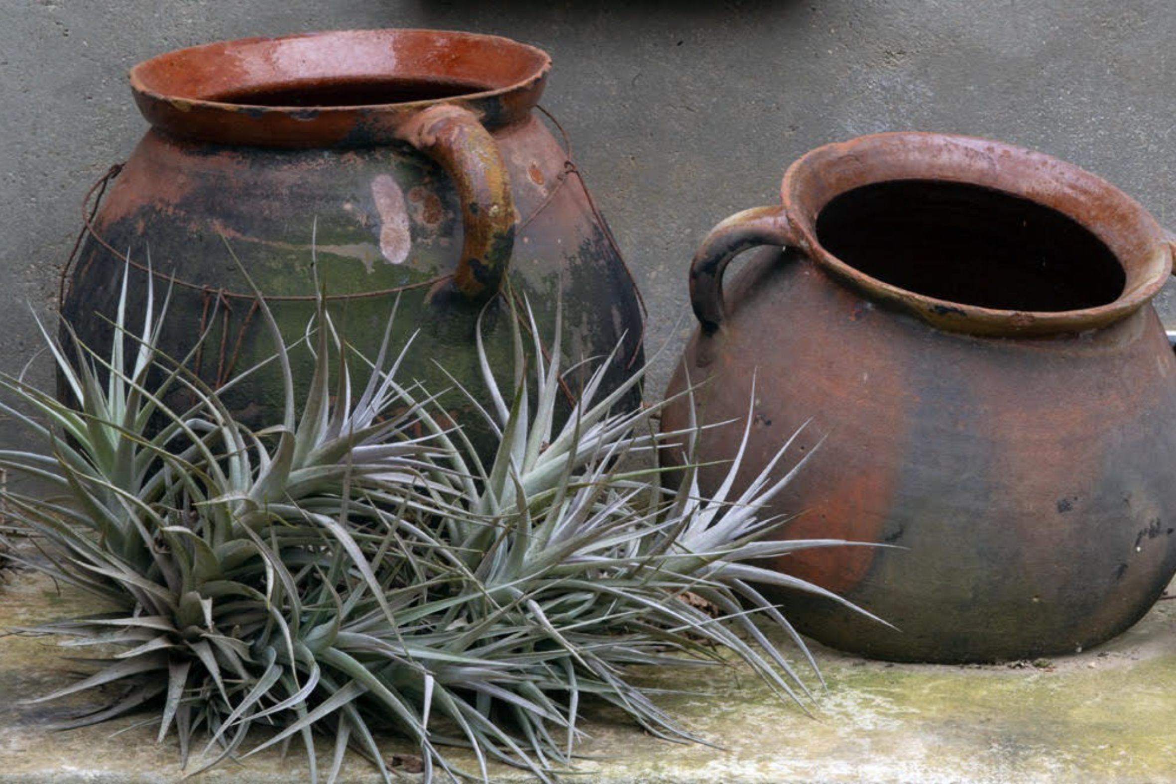 Fotografia: Jean-Marie del Moral