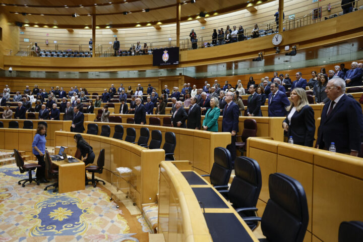 Un moment del ple del senat espanyol d'avui (fotografia: EFE / Mariscal).