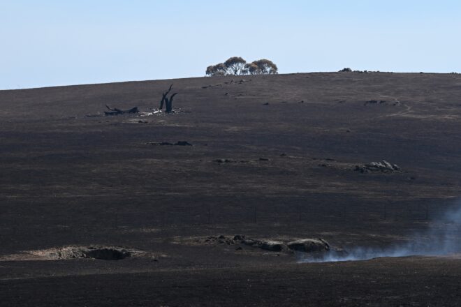 Un mort, 350.000 hectàrees i més de 300 habitatges calcinats en l’onada d’incendis d’Austràlia