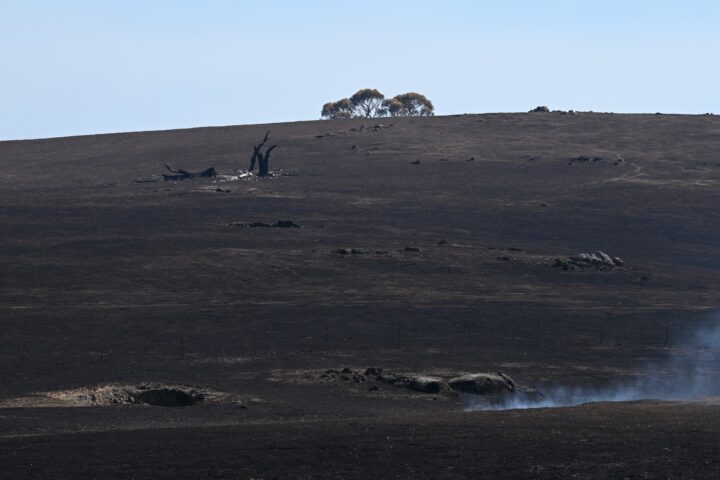 Imatge d'arxiu d’incendis a l’estat australià de Victòria (fotografia: EFE/James Ross)