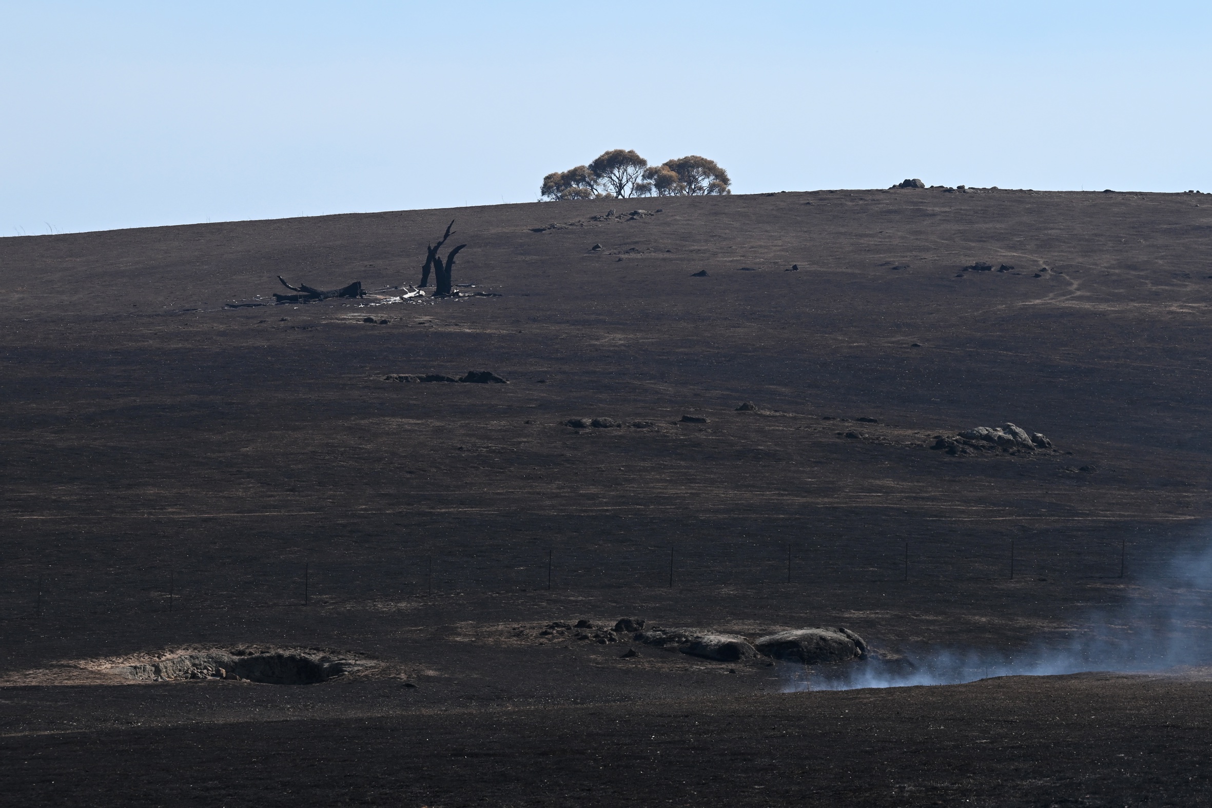 Imatge d'arxiu d’incendis a l’estat australià de Victòria (fotografia: EFE/James Ross)