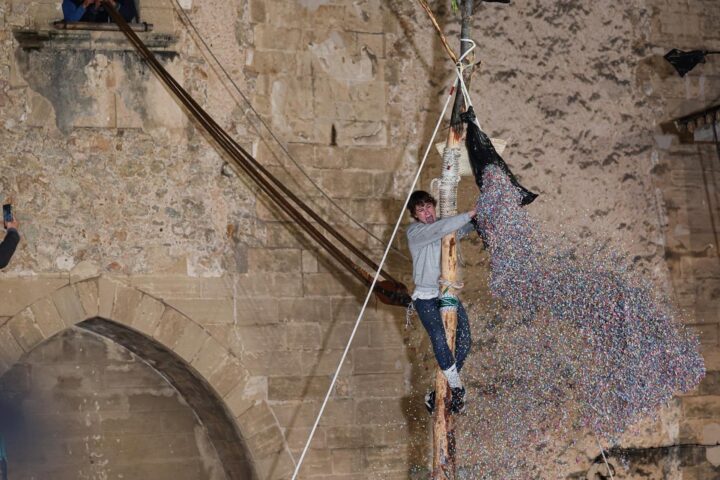 Joan Rebassa, nascut el 2008, corona un Pi de Sant Antoni més curt que no és habitual després d'haver-se partit per dos costats (fotografia: Tomàs Moyà/Europa Press).