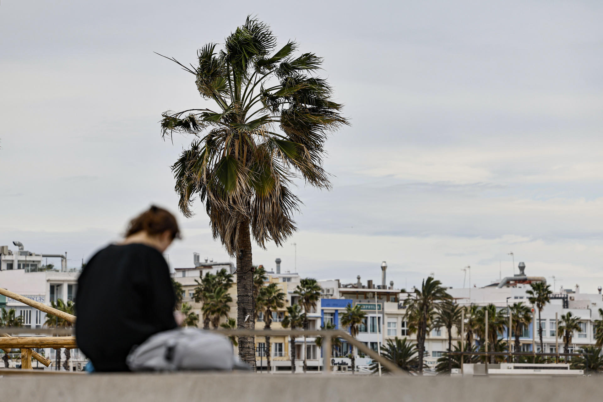 Jornada de fort vent al País Valencià i les Illes, si bé sense tantes incidències