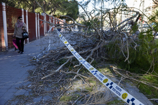 Emergències del País Valencià emet un nou avís especial per vent i activa l’alerta roja al nord