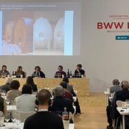 El vi i el relleu generacional als cellers