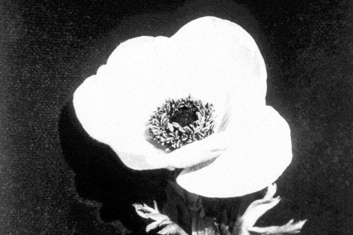 Fotograma de ‘Estudi cinematogràfic d’un arabesc’ (1929).