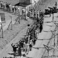 Sota la repressió i les matances britàniques contra els Mau-Mau