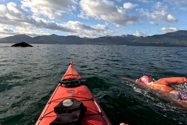 Una imatge de la darrera travessa de Tita Llorens, amb una balena al fons.