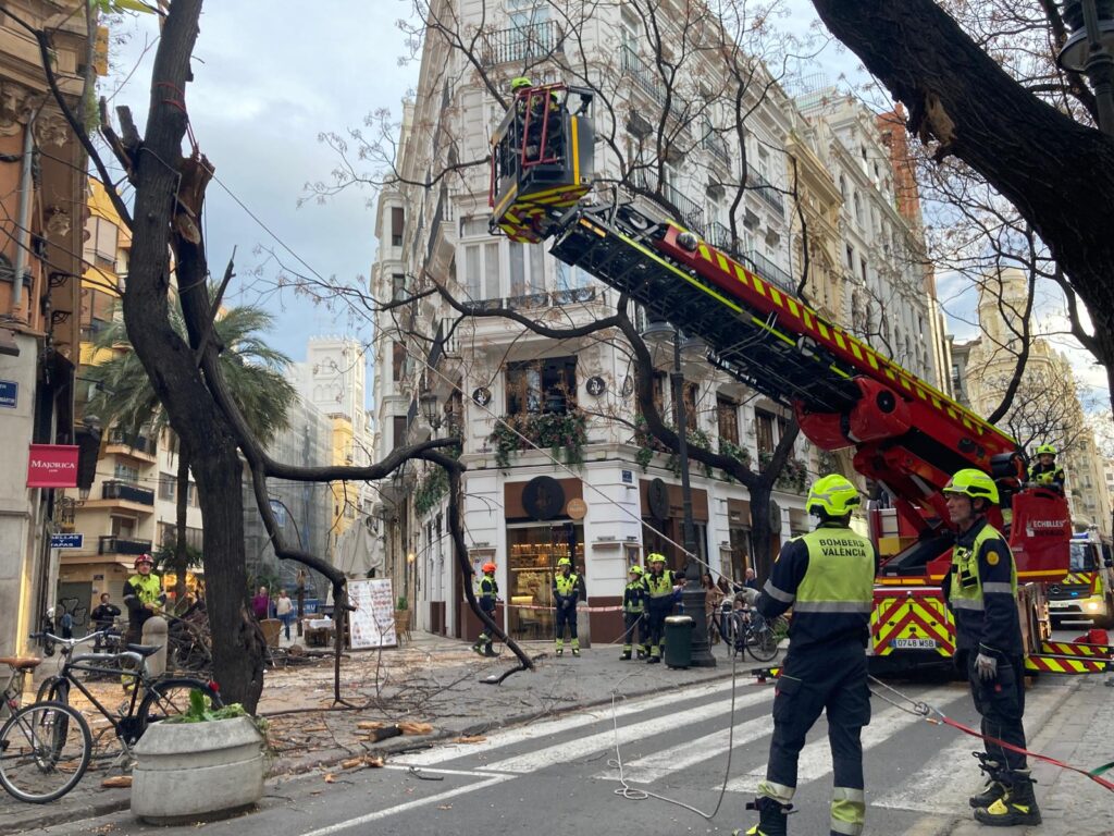 Dues dones ferides al centre de València per la caiguda d’un arbre a causa del vent