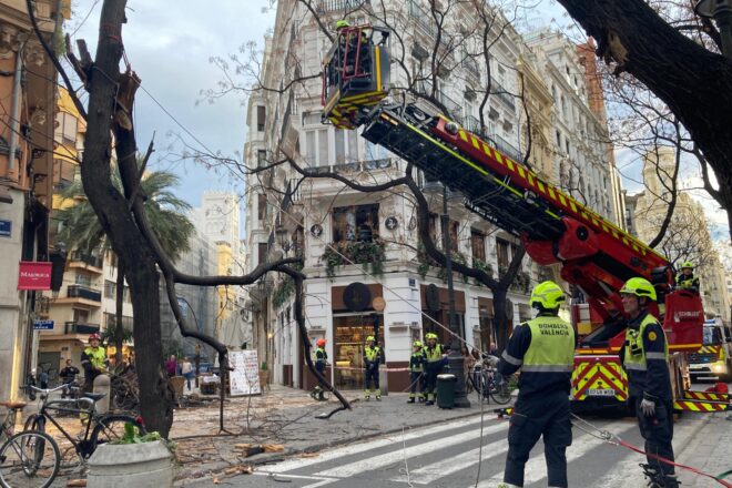 Dues dones ferides al centre de València per la caiguda d’un arbre a causa del vent