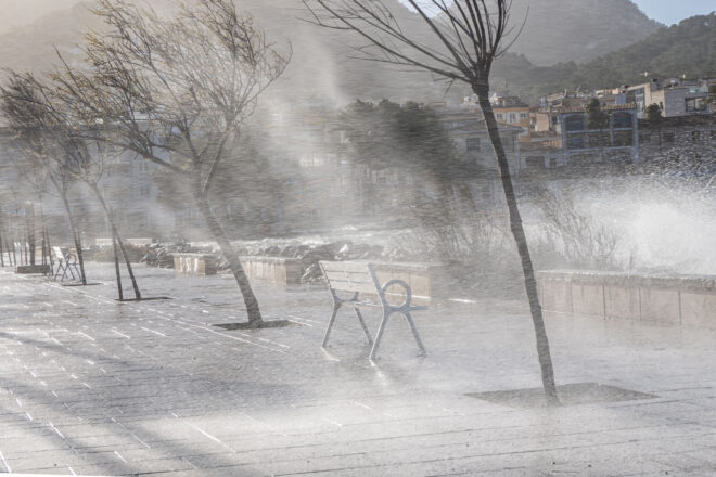 Risc extrem pel vent al País Valencià i ràfegues fortes al Pirineu, a l’Empordà i a les Pitiüses