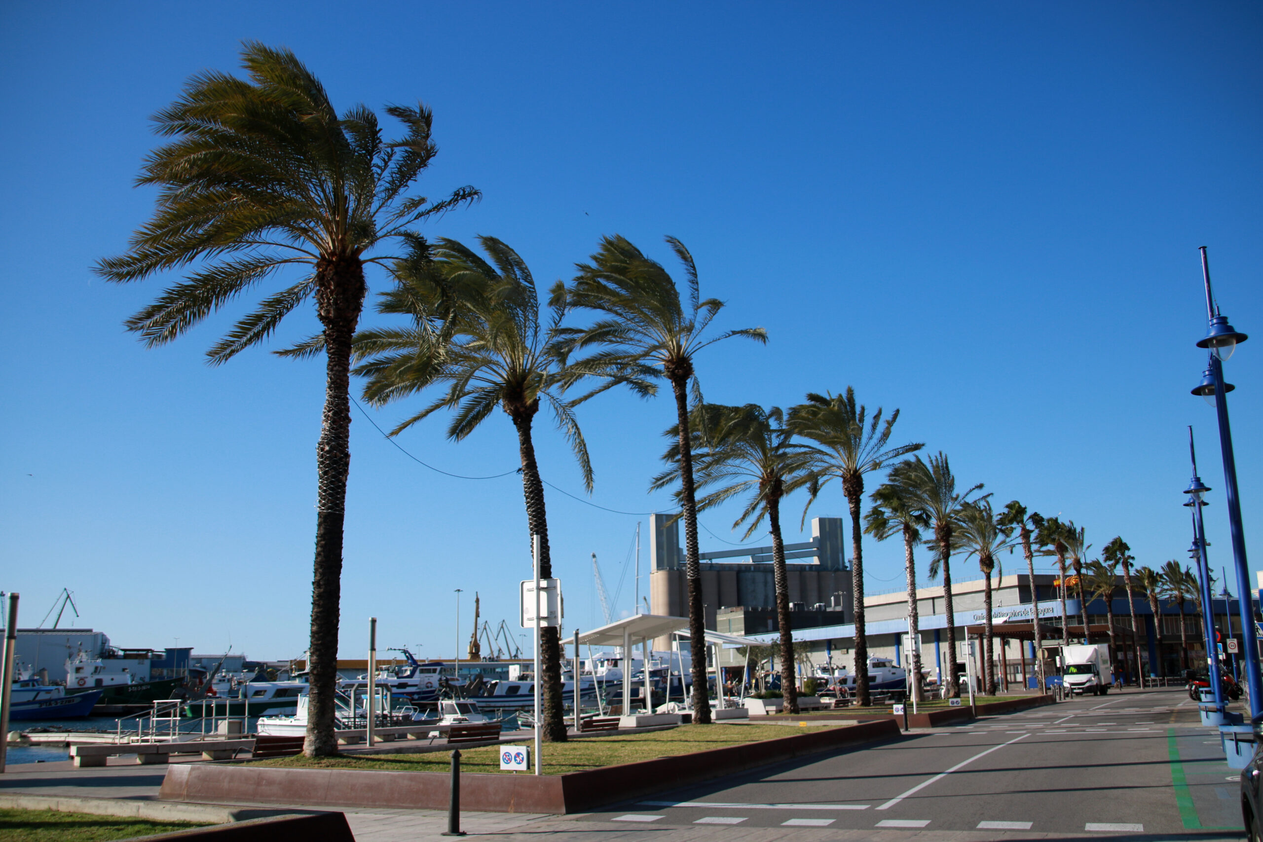 [EN DIRECTE] La Generalitat aixeca les restriccions a la mobilitat, però manté la suspensió de l'activitat educativa i esportiva
