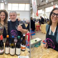 Troballes vinícoles del País Valencià i de les Illes Balears (2)