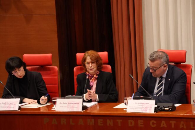 La Síndica de Greuges demana que només els jutges especialistes puguin declarar el desemparament dels menors