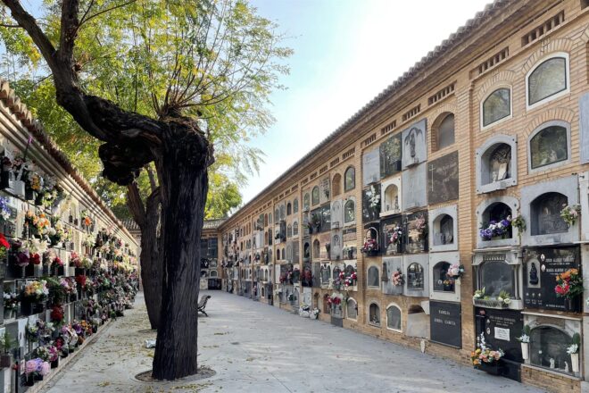 València tanca parcs i jardins pel fort vent i recomana evitar la Devesa
