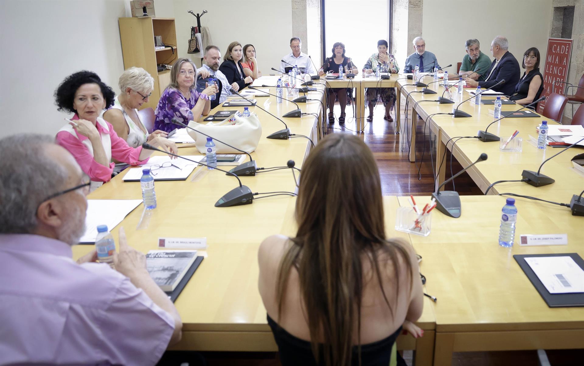 Plenari de l’Acadèmia Valenciana de la Llengua. Fotografia d’arxiu de José Cuéllar.