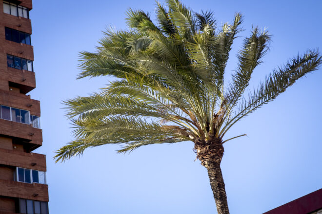 Tallada la AP7 per un camió bolcat a l’Hospitalet de l’Infant a causa del vent