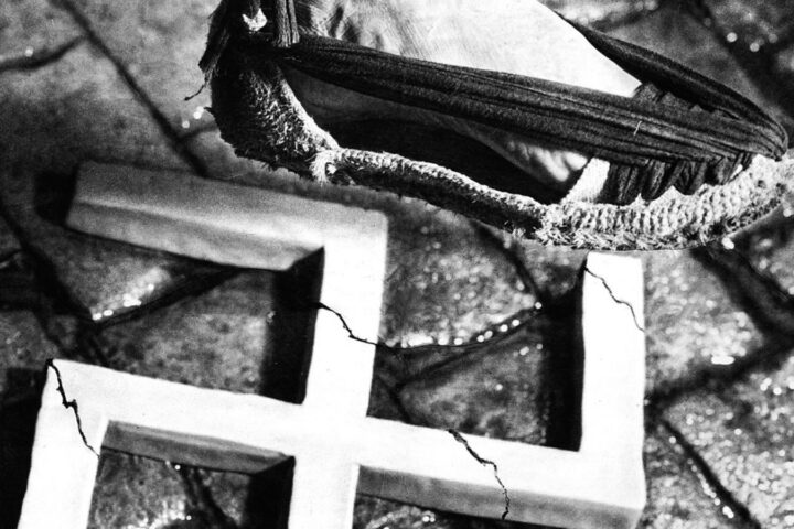 'Aixafem el feixisme', Pere Català i Pic.