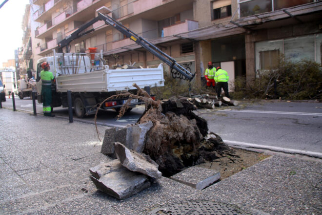 Uns 5.000 abonats continuen sense llum a causa del temporal de vent