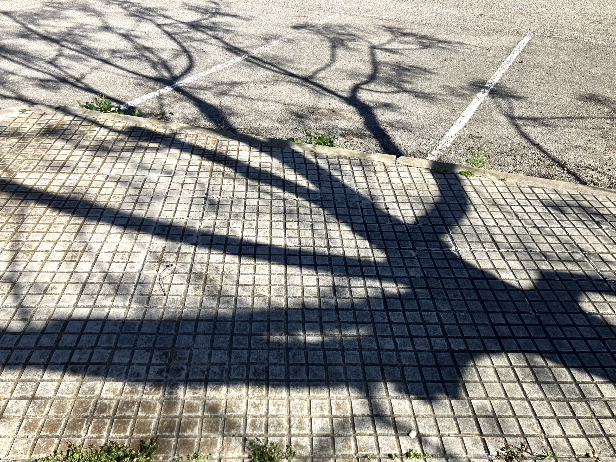 Fotografia: Jean-Marie del Moral.