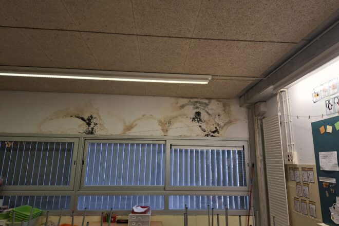 Floridura, ratolins i aules inundades: la situació límit de l’institut escola Mas Rampinyo