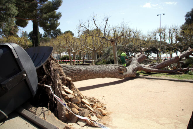 El temporal deixa vuit ferits a Catalunya, un trànsit caòtic a Andorra i incomunica Menorca per mar