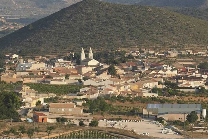 Imatge panoràmica de l’Alguenya.
