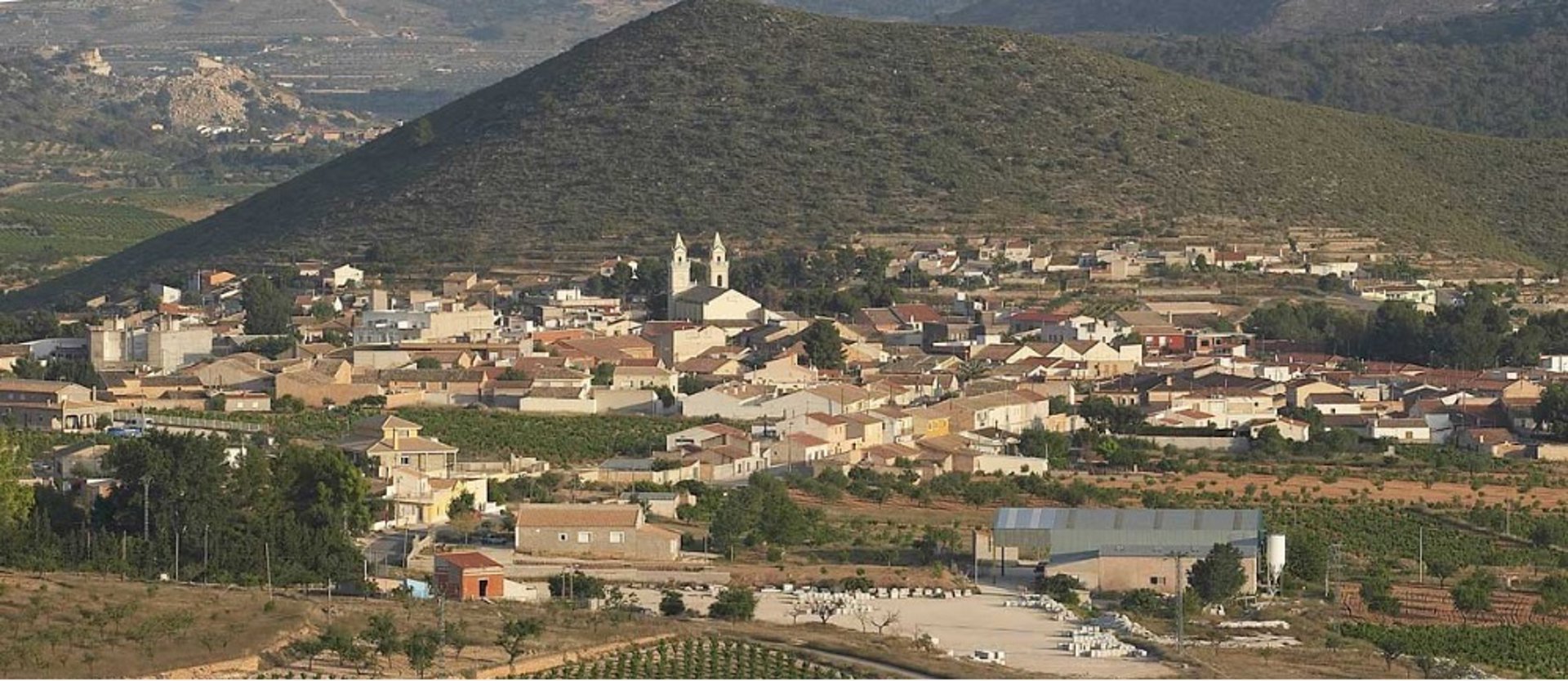 Imatge panoràmica de l’Alguenya.