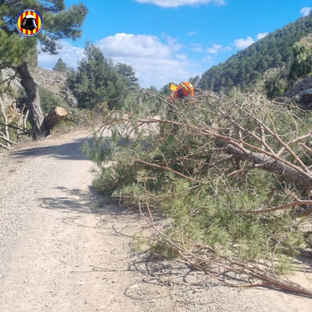Els bombers atenen centenars d’incidents per les ratxes de vent al País Valencià