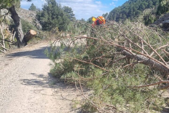 Imatge d’una intervenció del Consorci de Bombers de València com a conseqüència del vent fort.