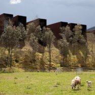 Les arrels i les fulles de les Cols