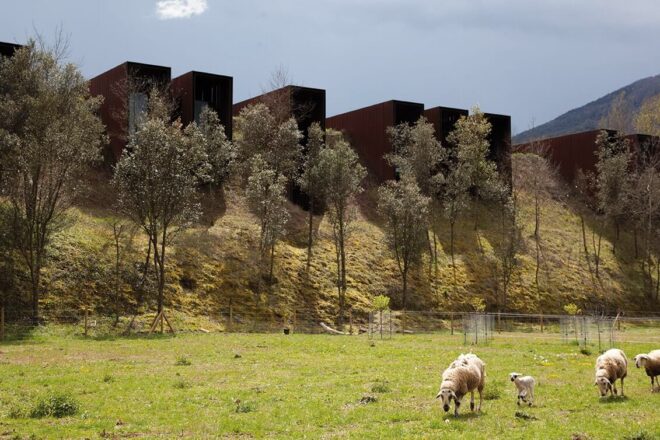 Les arrels i les fulles de les Cols