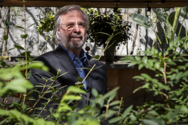 Miguel Sánchez Romera: “Com a emigrant, sovint he tingut la sensació que jugava de visitant”