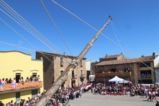 Cornellà del Terri commemora mig segle de la recuperació de la plantada de l’arbre de Maig