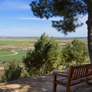 Mirar el paisatge, una pràctica crítica 