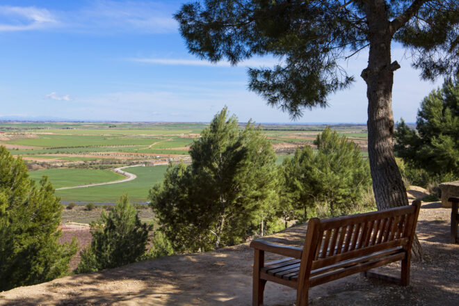 Mirar el paisatge, una pràctica crítica 