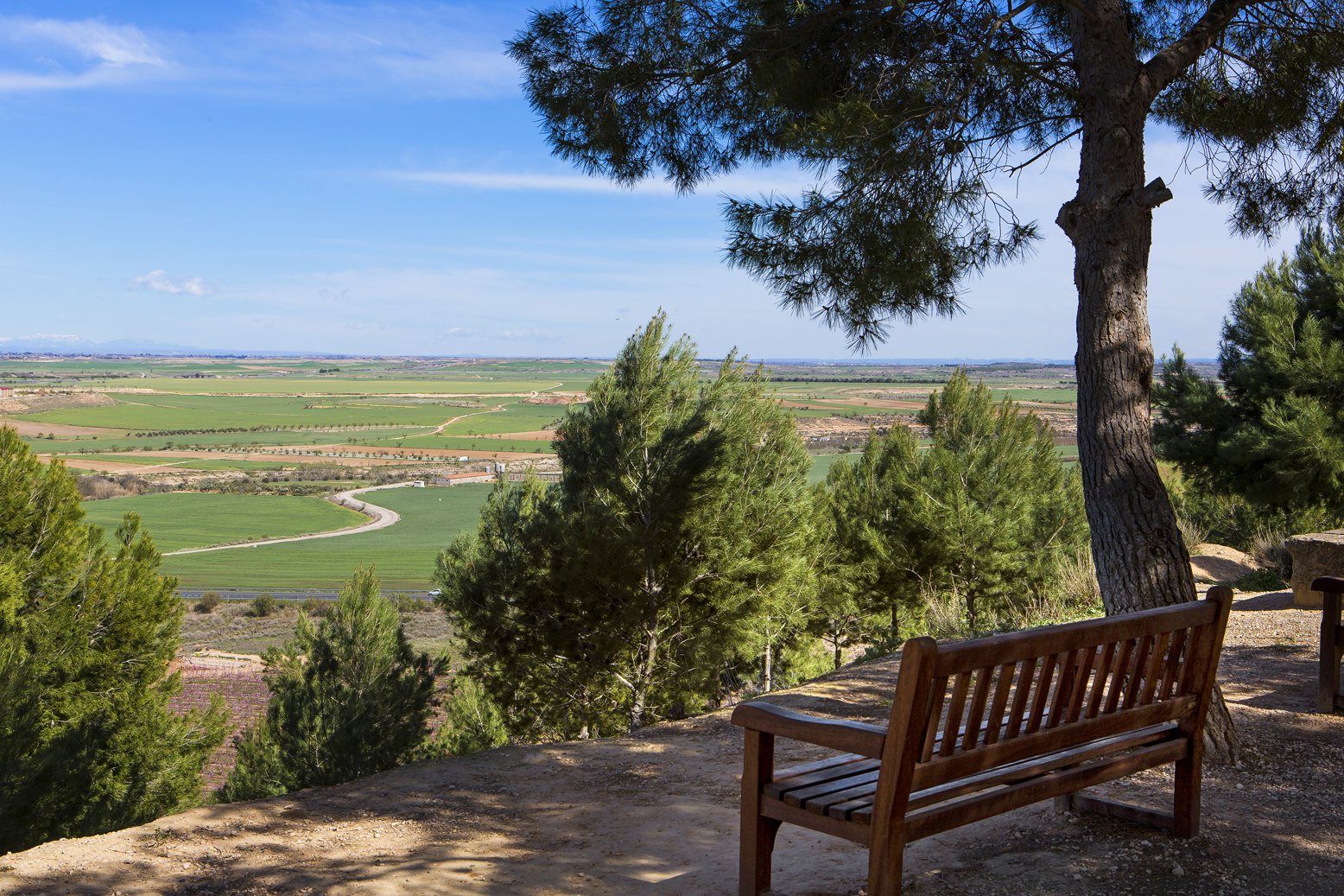 Alfes (Segrià). Secans d’Utxesa (fotografia: Jordi Salinas).